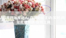 百度网址推送php,百度站长主动(实时)网址批量推送-在线工具