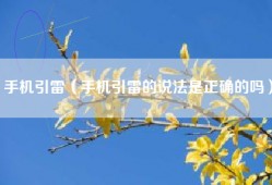 手机引雷（手机引雷的说法是正确的吗）