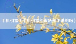 手机引雷（手机引雷的说法是正确的吗）