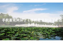手机麦克风坏了（手机麦克风坏了会怎么样）