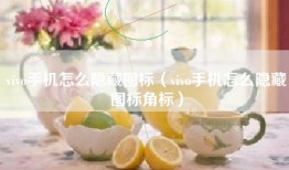 vivo手机怎么隐藏图标（vivo手机怎么隐藏图标角标）