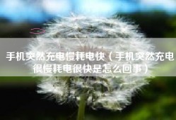 手机突然充电慢耗电快（手机突然充电很慢耗电很快是怎么回事）