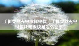 手机突然充电慢耗电快（手机突然充电很慢耗电很快是怎么回事）