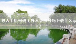 导入手机号码（导入手机号码下载什么app）