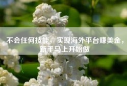 不会任何技能，实现海外平台赚美金，新手马上开始做