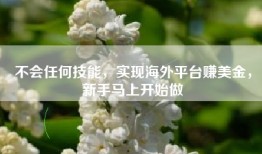 不会任何技能，实现海外平台赚美金，新手马上开始做