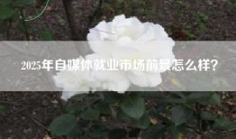 2025年自媒体就业市场前景怎么样？
