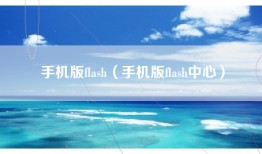 手机版flash（手机版flash中心）