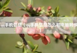 qq手机信息（qq手机信息怎么和电脑同步）