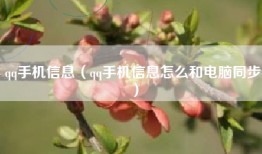 qq手机信息（qq手机信息怎么和电脑同步）