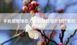 手机壁纸绿色（手机壁纸绿色超好看的图片）