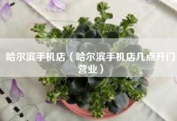 哈尔滨手机店（哈尔滨手机店几点开门营业）