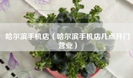 哈尔滨手机店（哈尔滨手机店几点开门营业）