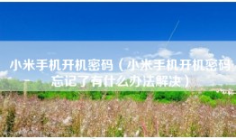 小米手机开机密码（小米手机开机密码忘记了有什么办法解决）