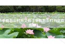 手机怎么打开文件（手机怎么打开文件传输）