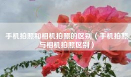 手机拍照和相机拍照的区别(手机拍照与相机拍照区别)