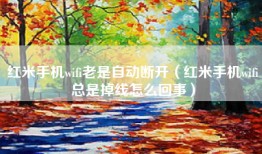 红米手机wifi老是自动断开（红米手机wifi总是掉线怎么回事）