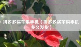 拼多多买苹果手机（拼多多买苹果手机多久发货）