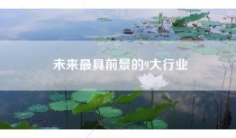 未来最具前景的9大行业