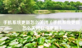 手机系统更新怎么关闭（手机系统更新怎么关闭自动更新）