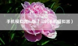 手机模拟器ios版（ios的手机模拟器）