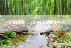 手机网速差（手机网速差解决办法）