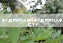 手机图片添加文字（手机图片添加文字软件）
