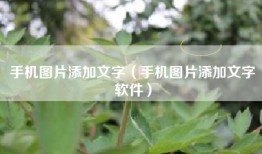 手机图片添加文字（手机图片添加文字软件）