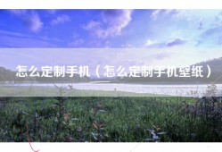怎么定制手机（怎么定制手机壁纸）