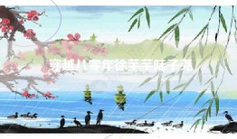 穿越八零年徐芊芊陆子尧