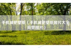 手机减肥壁纸（手机减肥壁纸图片大全 背景图片）