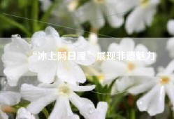 “冰上阿日嘎”展现非遗魅力