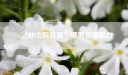“冰上阿日嘎”展现非遗魅力