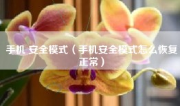 手机 安全模式（手机安全模式怎么恢复正常）