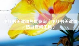 小红书关键词热度查询（小红书关键词热度查询工具）