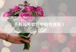 手机叫号软件（叫号神器）