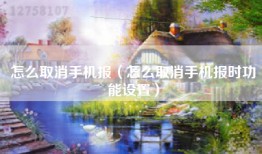 怎么取消手机报（怎么取消手机报时功能设置）