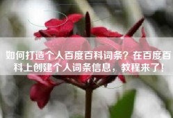 如何打造个人百度百科词条？在百度百科上创建个人词条信息，教程来了！