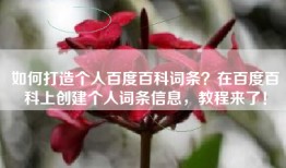 如何打造个人百度百科词条？在百度百科上创建个人词条信息，教程来了！