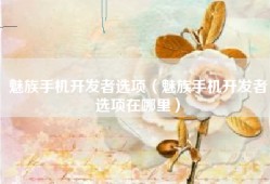 魅族手机开发者选项（魅族手机开发者选项在哪里）