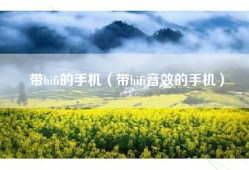 带hifi的手机（带hifi音效的手机）
