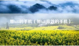 带hifi的手机（带hifi音效的手机）