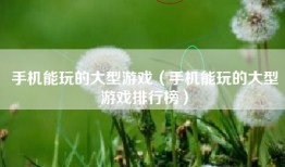 手机能玩的大型游戏（手机能玩的大型游戏排行榜）