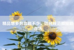 精品增多狗血剧不少，如何规范微短剧市场