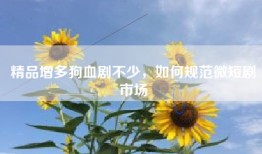 精品增多狗血剧不少，如何规范微短剧市场