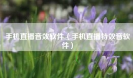 手机直播音效软件（手机直播特效音软件）