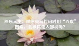 程序人生：程序员写代码时用“百度”搜索，会被其他人鄙视吗？