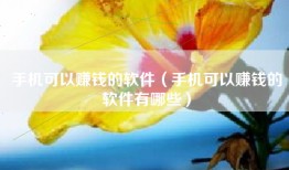 手机可以赚钱的软件（手机可以赚钱的软件有哪些）