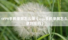 OPPO手机录屏怎么录（oppo手机录屏怎么录到密码）