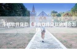 手机软件贷款（手机软件贷款逾期会怎样）